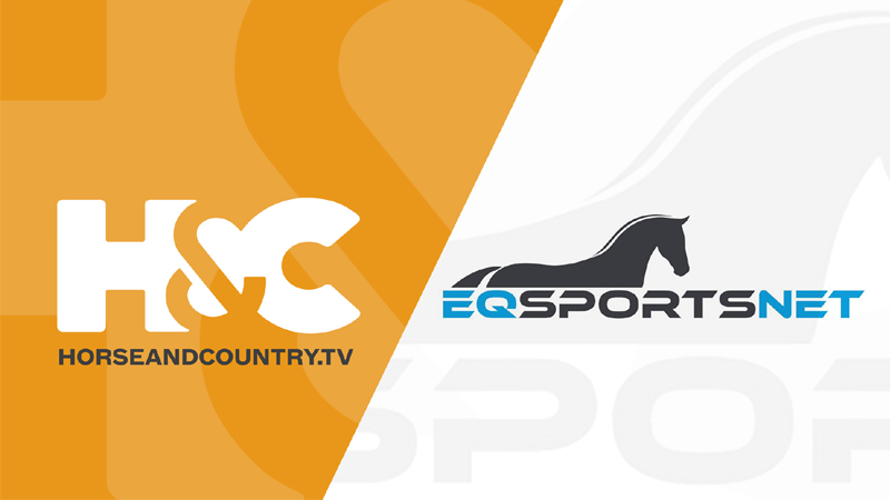 H & C TV